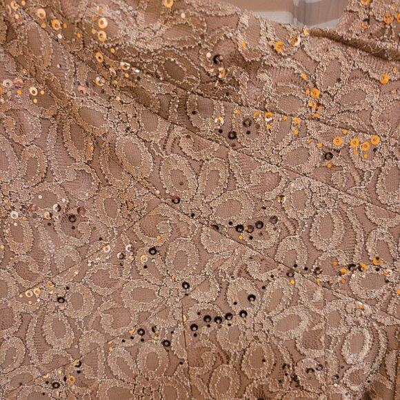 Jax Sequined Lace Illusion Cocktail Dress Champaigne Size 8 - Picture 8 of 16